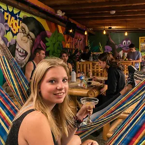 Hostel Purple Monkey Medellín